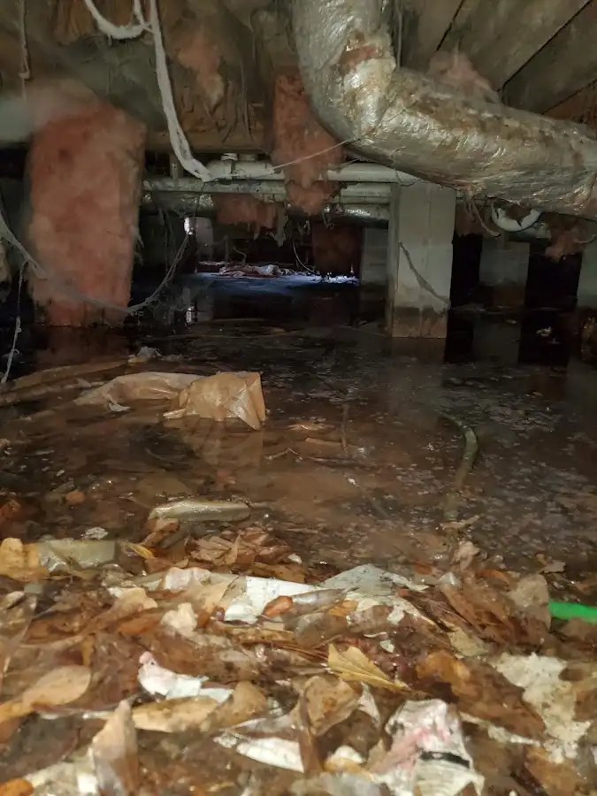 Crawl space flood assessment for Leak Detection & Repair in Fort Polk South