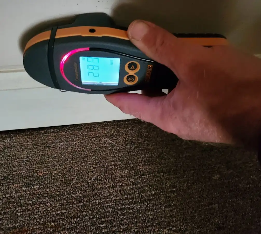 Moisture detection at baseboard during Sewage Cleanup & Sanitation in Fort Polk South